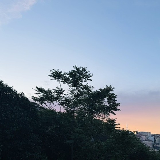 Ceren Akdağ-Akıllılar dünyası 080626.jpg